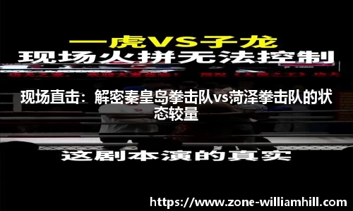 现场直击:解密秦皇岛拳击队vs菏泽拳击队的状态较量